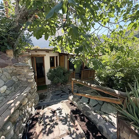 Mshome La Turquesa *