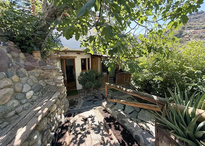 Mshome La Turquesa *